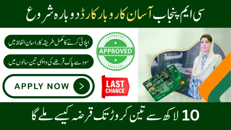 CM Punjab Asaan Karobar Card