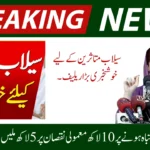 CM Punjab Launches Relief Card for Flood Victims