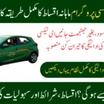 Payment Structure of CM Punjab E-Taxi Program