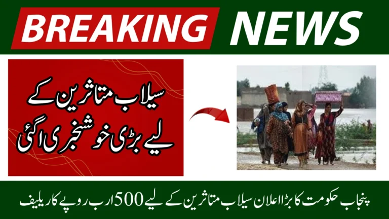 Punjab Finalizes Rs500 Billion Flood Relief Package
